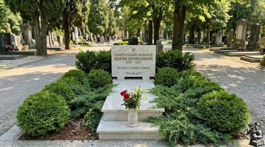 ozelenenie-hvoynye-rasteniya-mogila